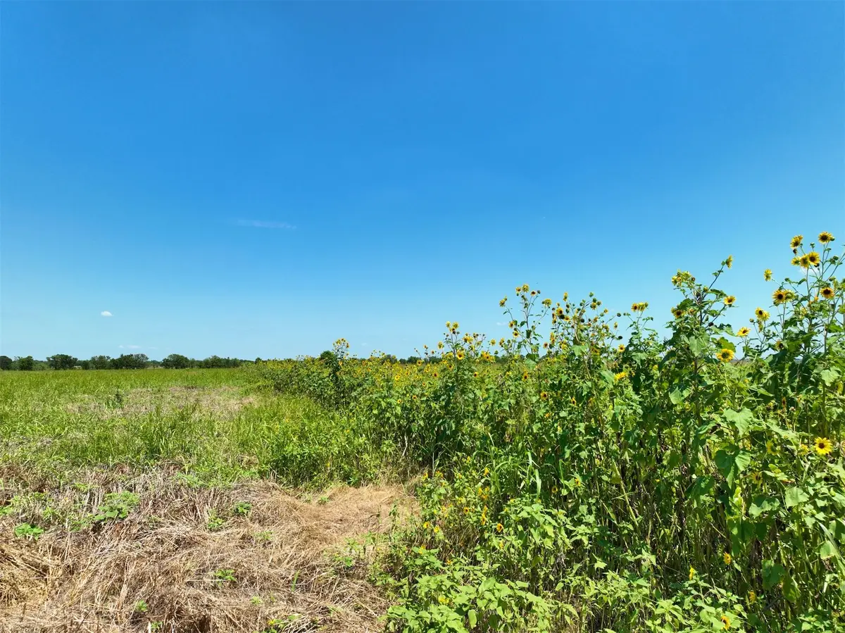 Lot 2 Cr 142 Rd, Cameron, TX 76520 - #1