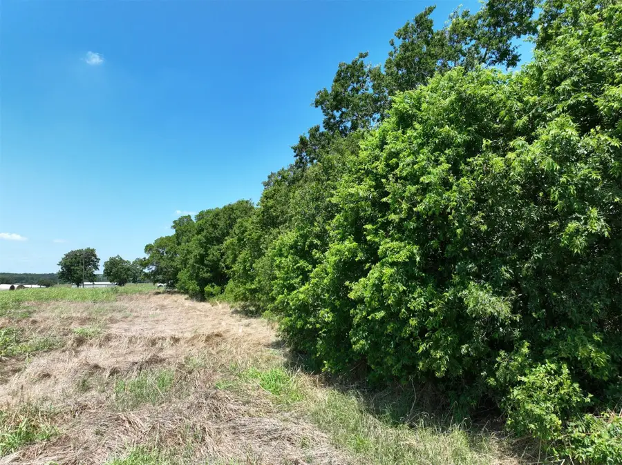 Lot 2 Cr 142 Rd, Cameron, TX 76520 - #3