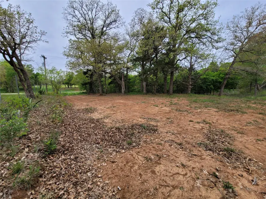 160 Arbor Hill Way, Cedar Creek, TX 78612 - #2