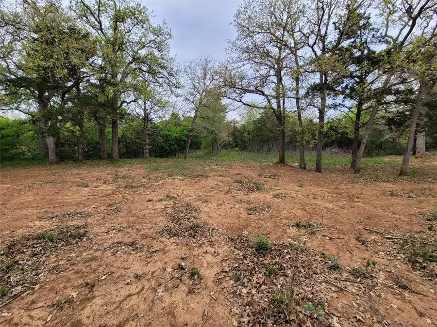 160 Arbor Hill Way, Cedar Creek, TX 78612 - #3