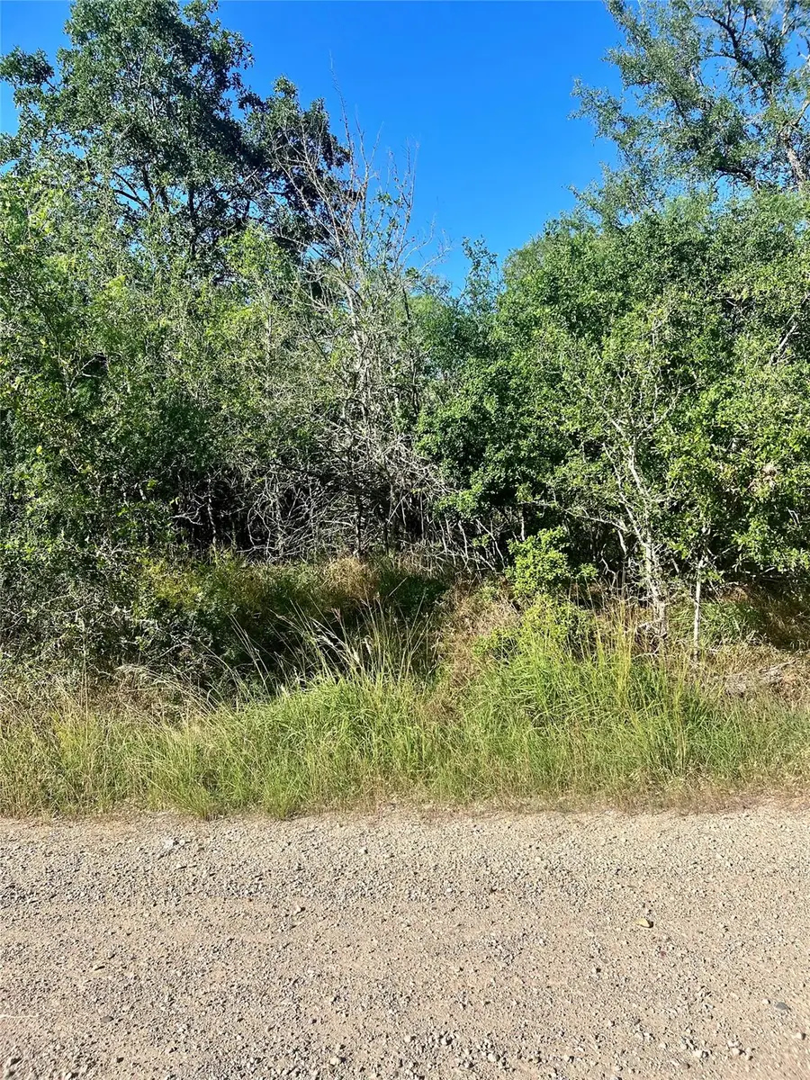 179 Helemano Dr, Bastrop, TX 78602 - Image #2