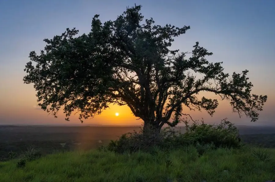 Lot 10 - 12.6 Acres - Round Mountain Reserve Dr, Round Mountain, TX 78663 - Image #3