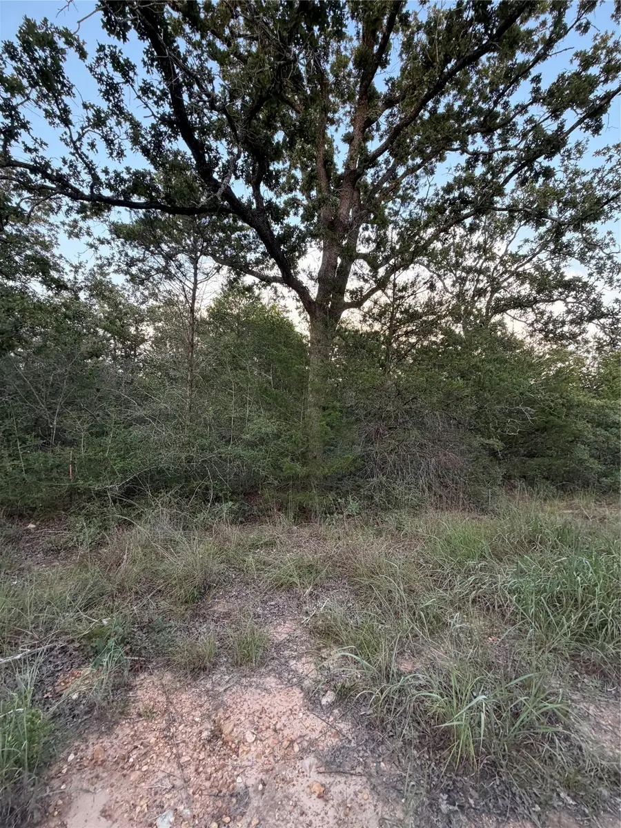 Lot 4 Spruce St, Paige, TX 78659 - #2