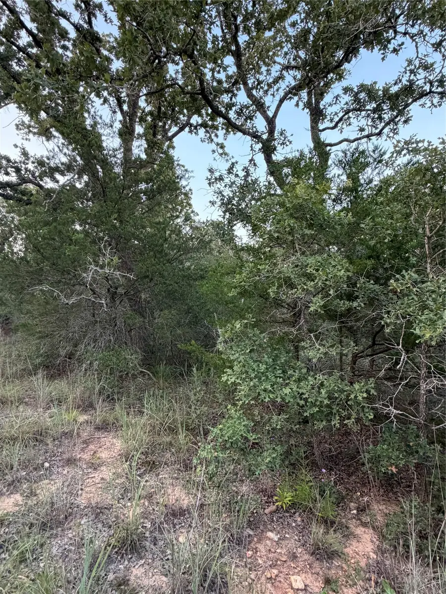 Lot 4 Spruce St, Paige, TX 78659 - #3