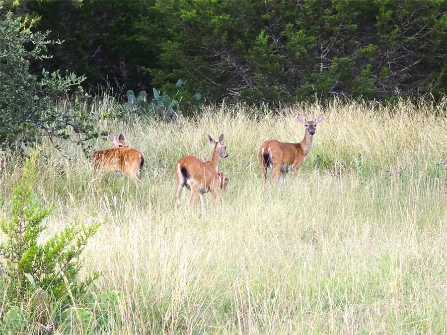 740 Cr 206, Lampasas, TX 76550 - #2