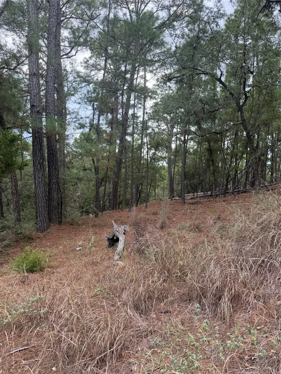 Lot 69 and 70 Taro Ct, Bastrop, TX 78602 - #2