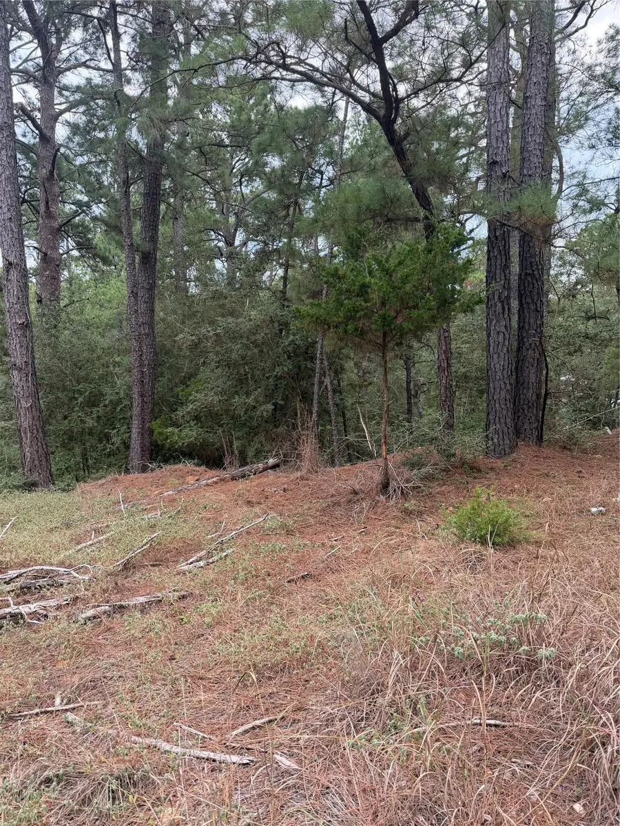 Lot 69 and 70 Taro Ct, Bastrop, TX 78602 - #3