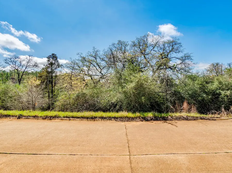 119 & 123 Mccarthy Dr, Bastrop, TX 78602 - #3
