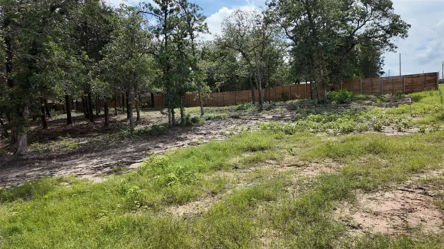 160 Los Robles Rd, Elgin, TX 78621 - #2