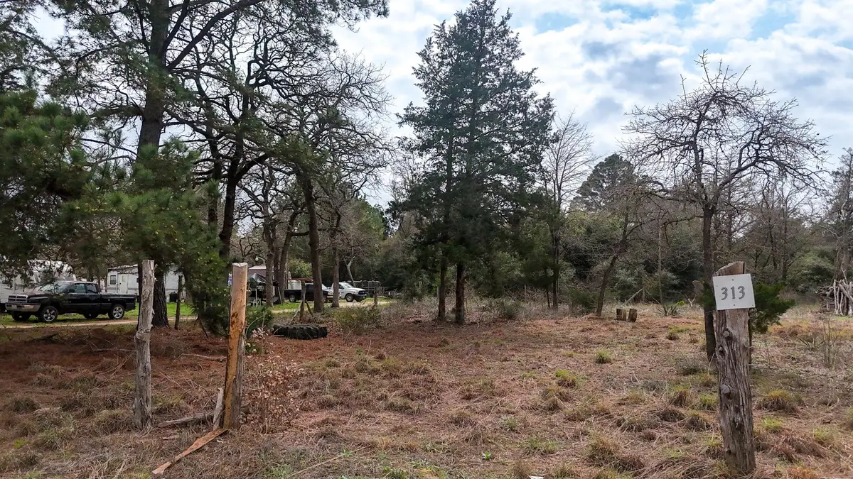 313 Dogwood Dr, Caldwell, TX 77836 - #1