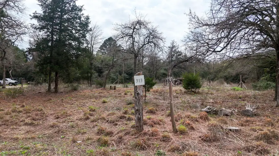 313 Dogwood Dr, Caldwell, TX 77836 - #2