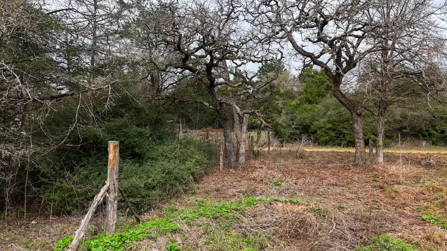 313 Dogwood Dr, Caldwell, TX 77836 - #3