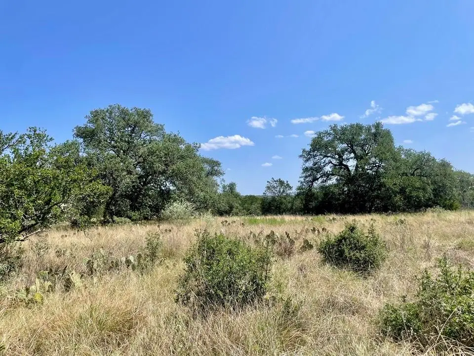 Lot 1 Legacy Ridge, Burnet, TX 78611 - #1