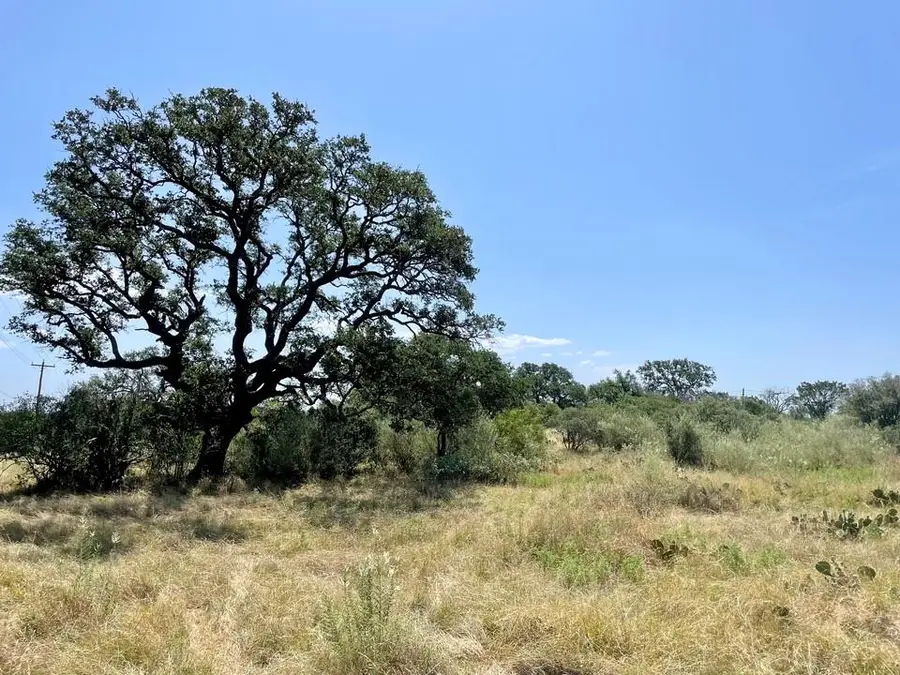 Lot 1 Legacy Ridge, Burnet, TX 78611 - #2