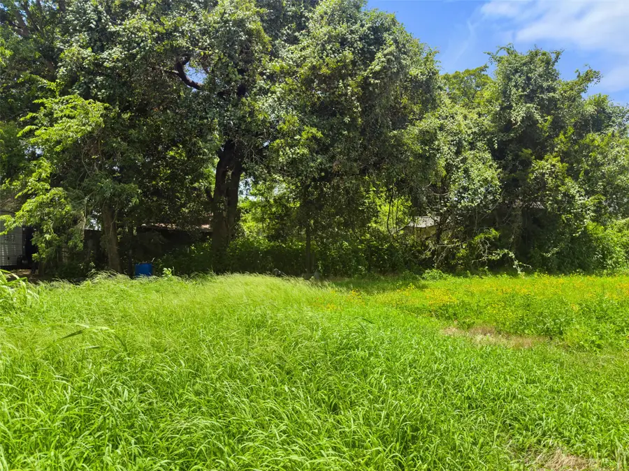 203 Trinity St, Hearne, TX 77859 - #3