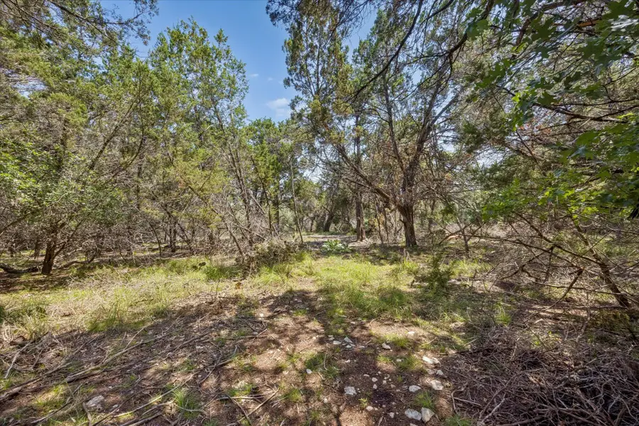 175 Spanish Oak Ln, Liberty Hill, TX 78642 - #3