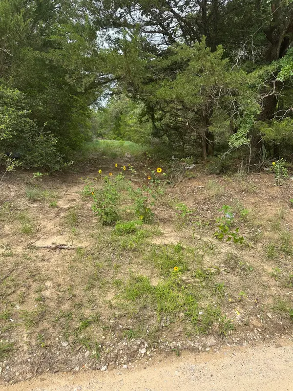 Lot 58-61 Pecan Dr, Caldwell, TX 77836