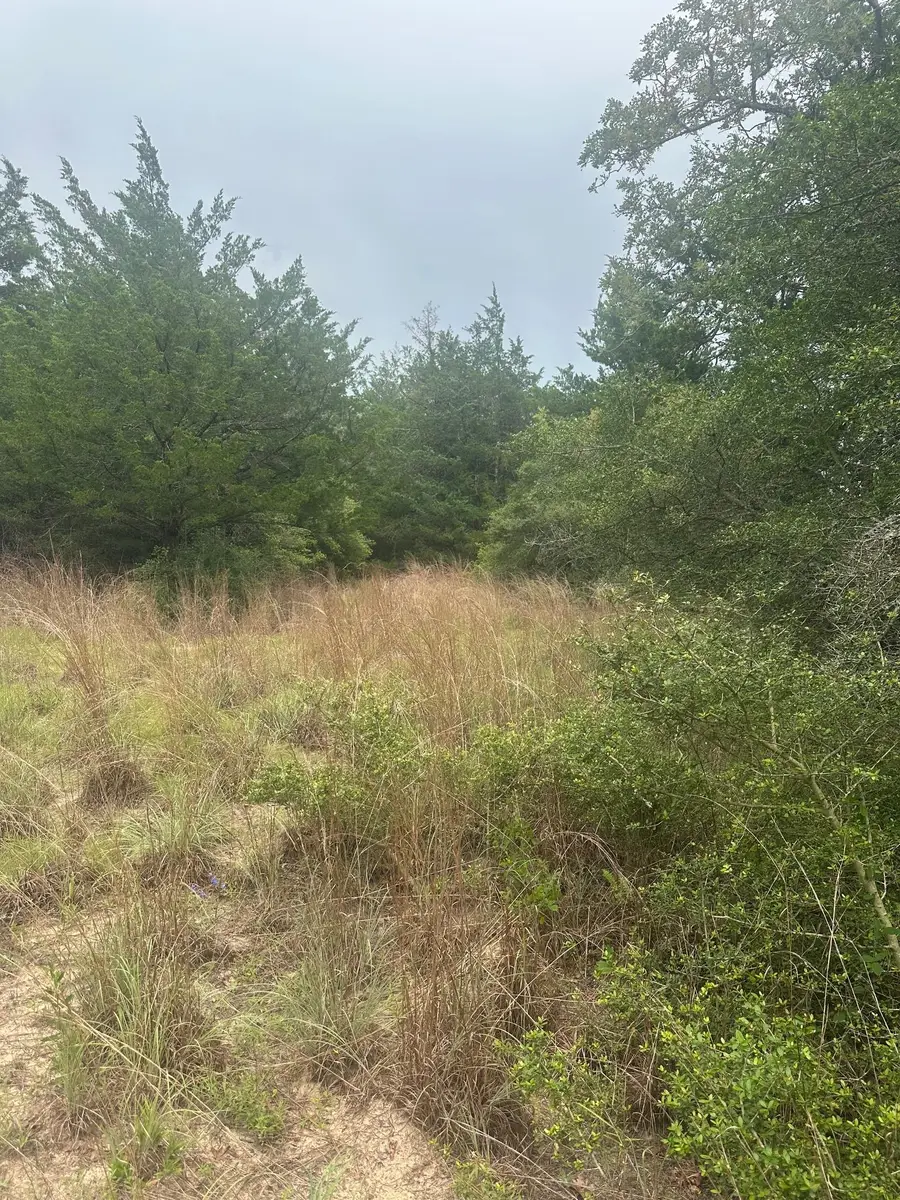 Lot 58-61 Pecan Dr, Caldwell, TX 77836 - #3