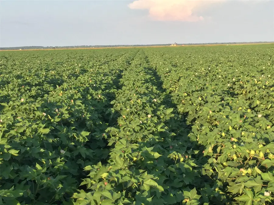 12485 Sandy Point Rd, Bryan, TX 77807 - Image #2