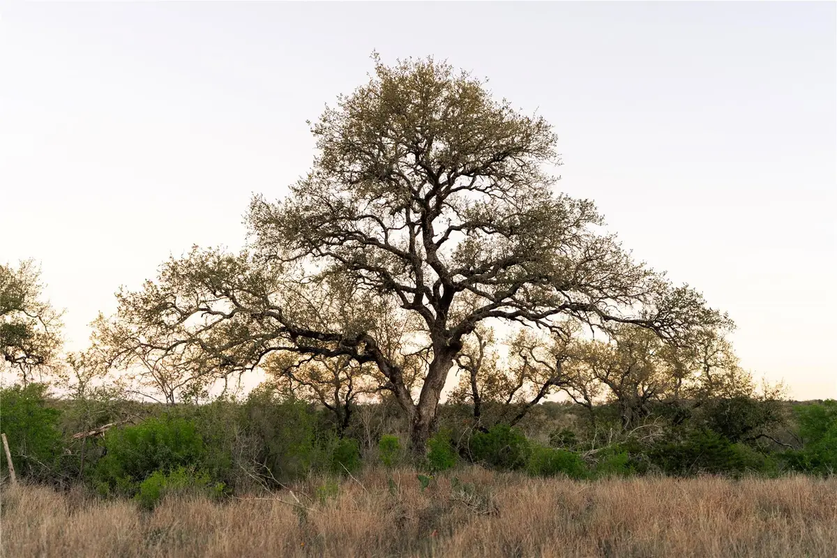 1901 Oak Grove Rd, San Marcos, TX 78666 - #1