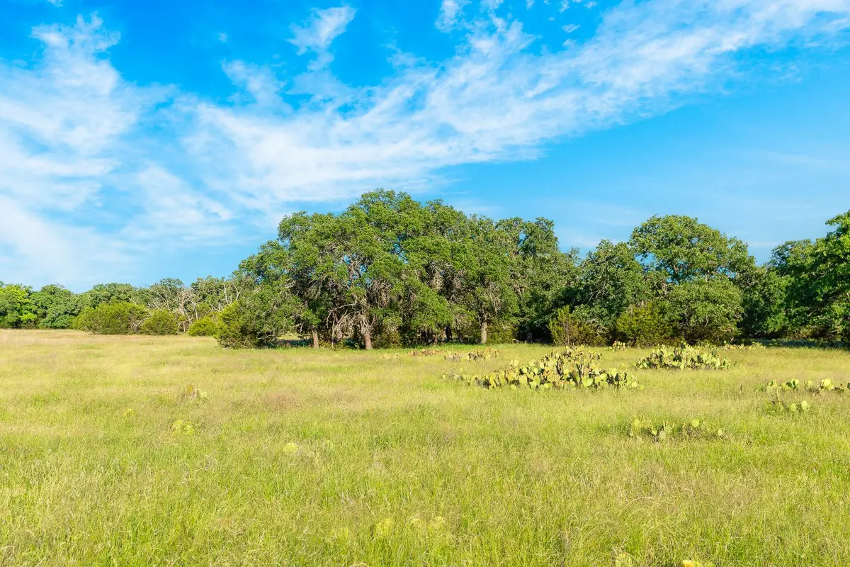 32 Feild Ranch Rd, Burnet, TX 78611 - #1