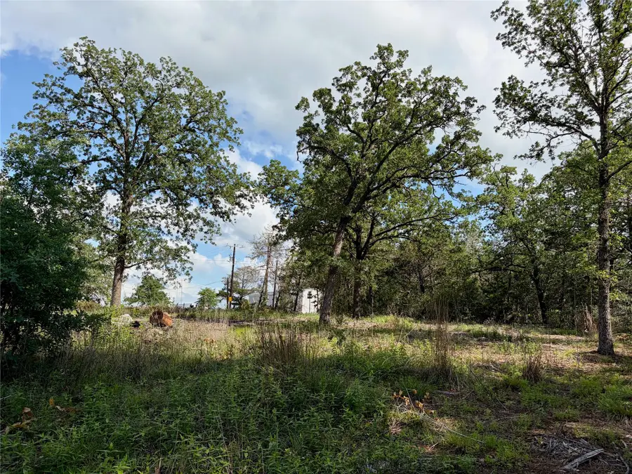 Lots-97/98 Shawnee Dr, Smithville, TX 78957 - #2