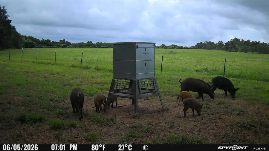0000 TBD Fm 979, Cameron, TX 76520 - #2