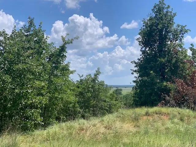 107 & 113 Mccarthy Dr, Bastrop, TX 78602 - #3