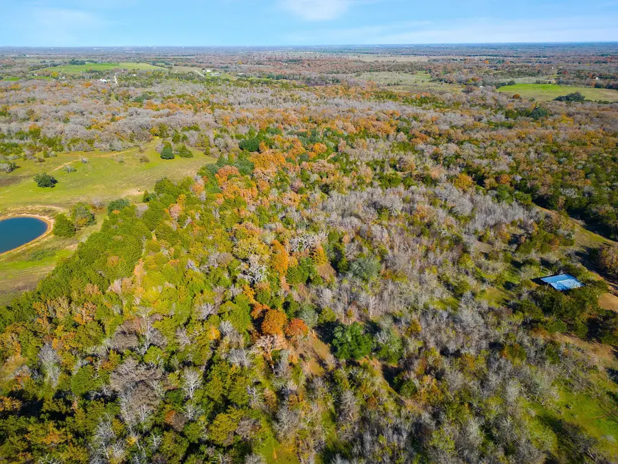 272 Deadwood Rd, Cedar Creek Red Rock, TX 78621 - #2