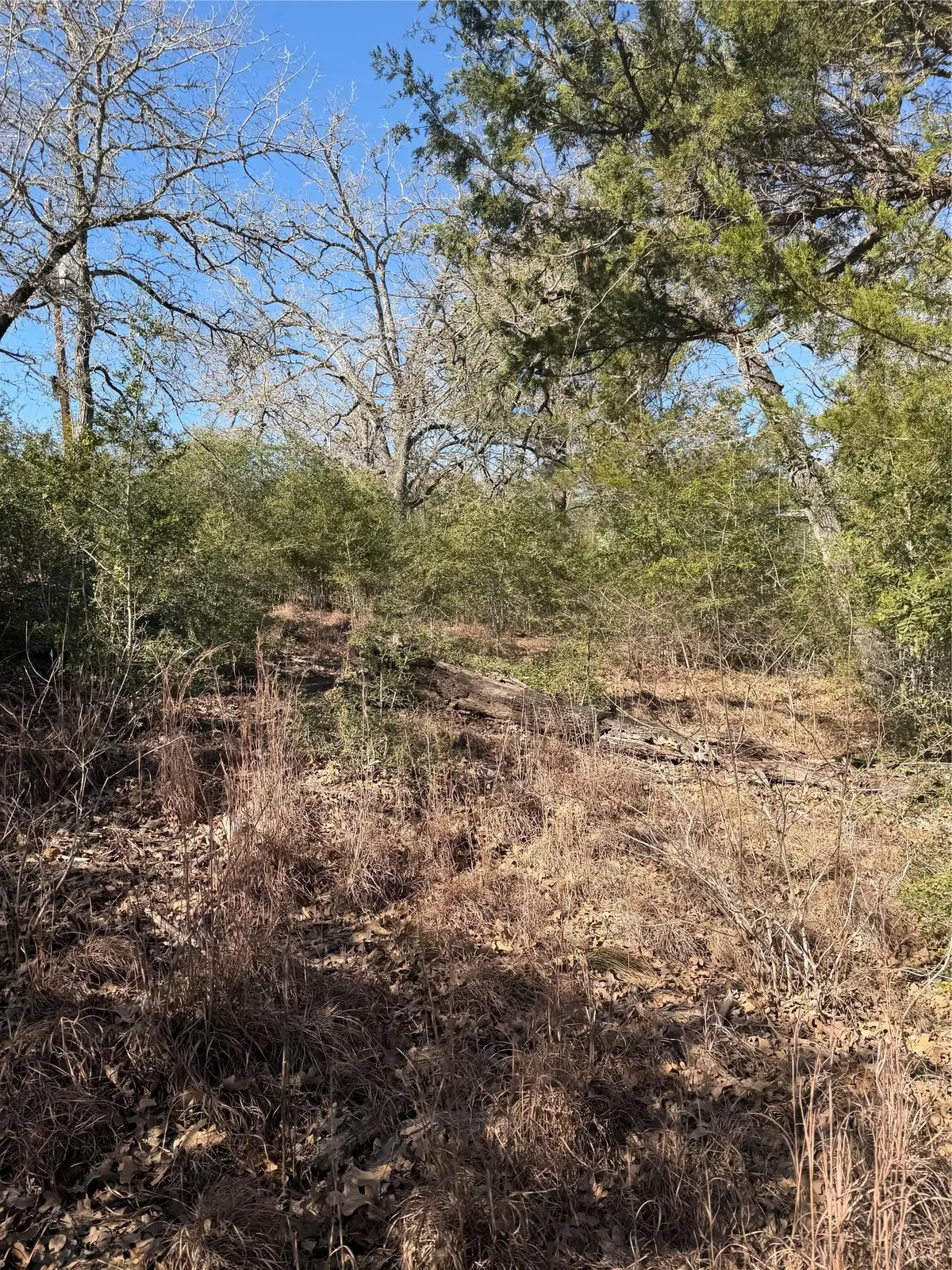 Lot 109 Wailupe Cir, Bastrop, TX 78602 - Image #1