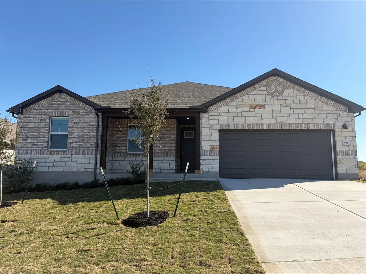 203 Divisadero Dr, Hutto, TX 78634 - Image #1