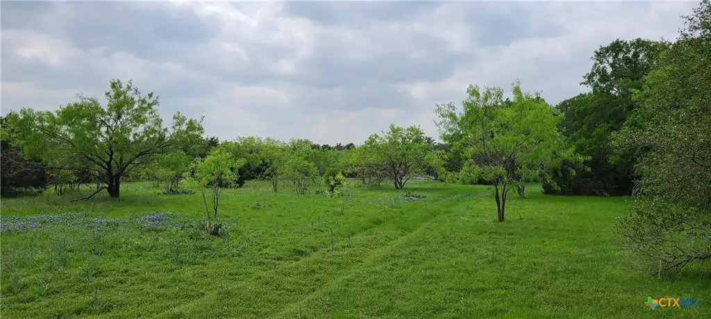 TBD Us Highway 190 E, Kempner, TX 76539 - #1