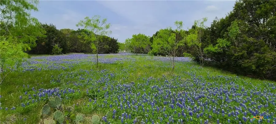 TBD Us Highway 190 E, Kempner, TX 76539 - #2