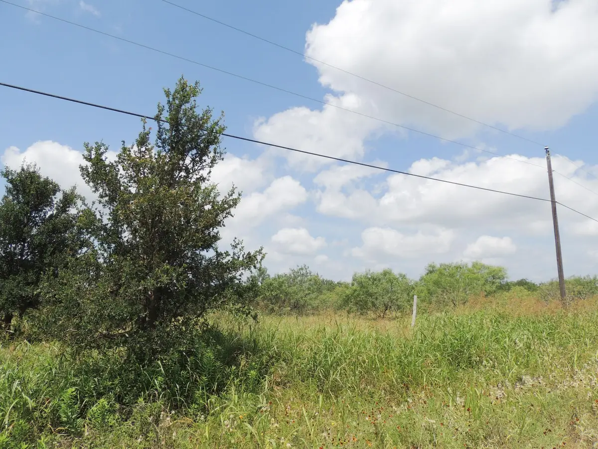 265 Linam Ln, Cedar Creek, TX 78612 - #1