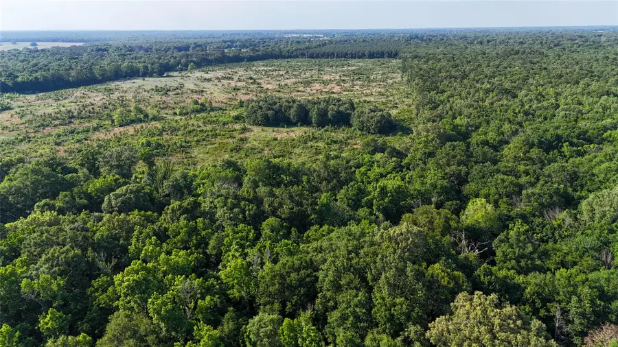CR 4621 County Road 4621, Annona Avery, TX 75550 - #2