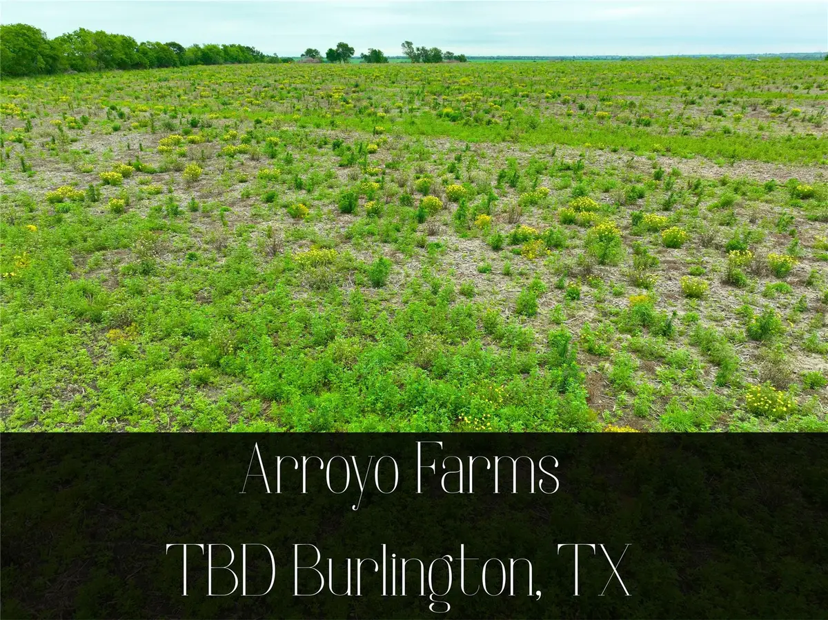 TBD Lot 5, Blk 1 132 Rd, Burlington, TX 76518 - #1