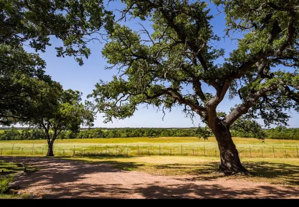 12350-65 N Hwy 16 Highway, Fredericksburg, TX 78624