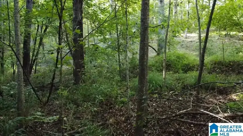 #3