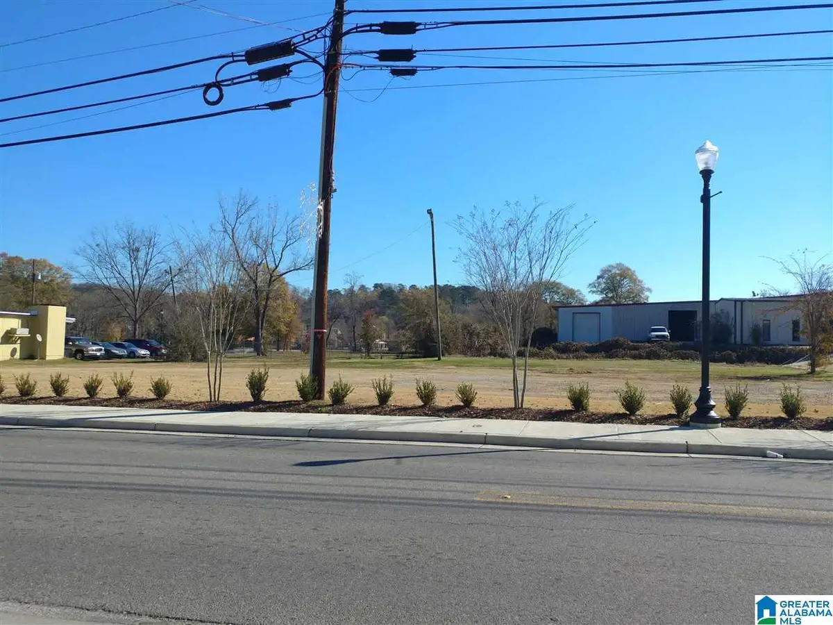 6178 HIGHWAY 11, Springville, AL 35146 - Image #1