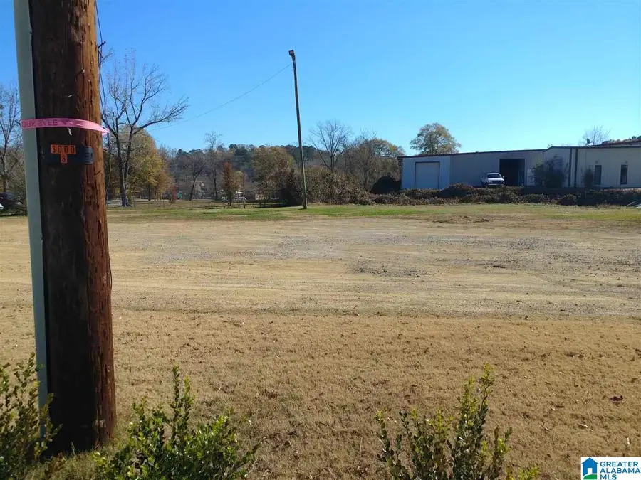 6178 HIGHWAY 11, Springville, AL 35146 - Image #3