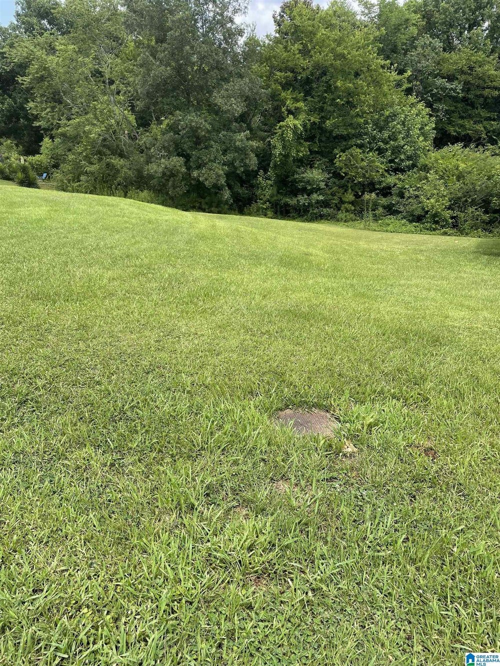 0 MCDANIEL AVENUE, Anniston, AL 36201 ERA