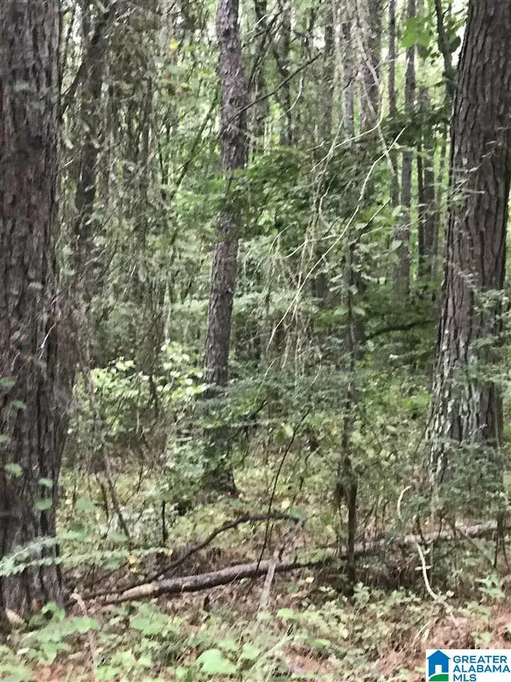 #1