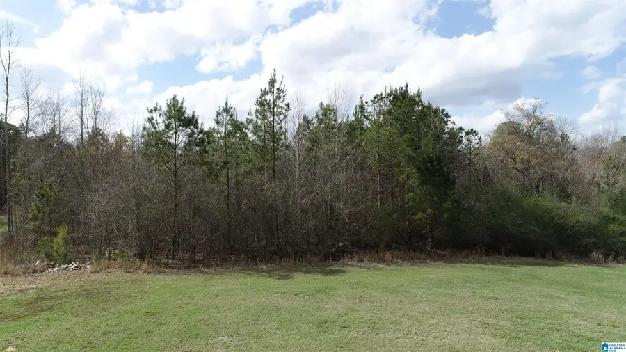 0 HIGHWAY 431, Wedowee, AL 36278 - #2