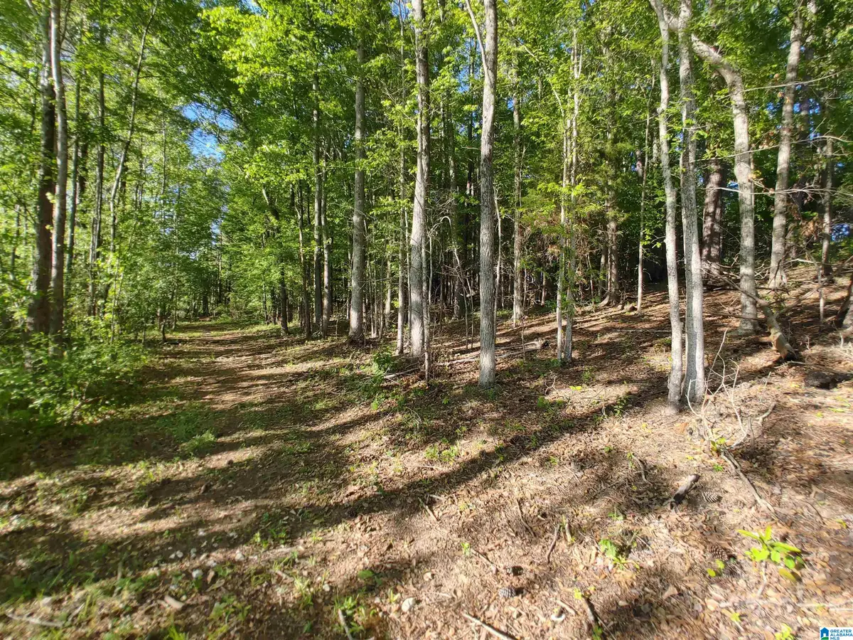 00 COVE ROAD, Sylacauga, AL 35150 - Image #1