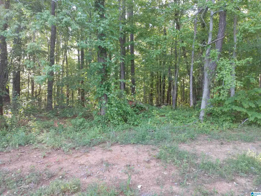 00 COVE ROAD, Sylacauga, AL 35150 - Image #2