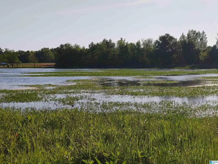 00 COVE ROAD, Sylacauga, AL 35150 - Image #3