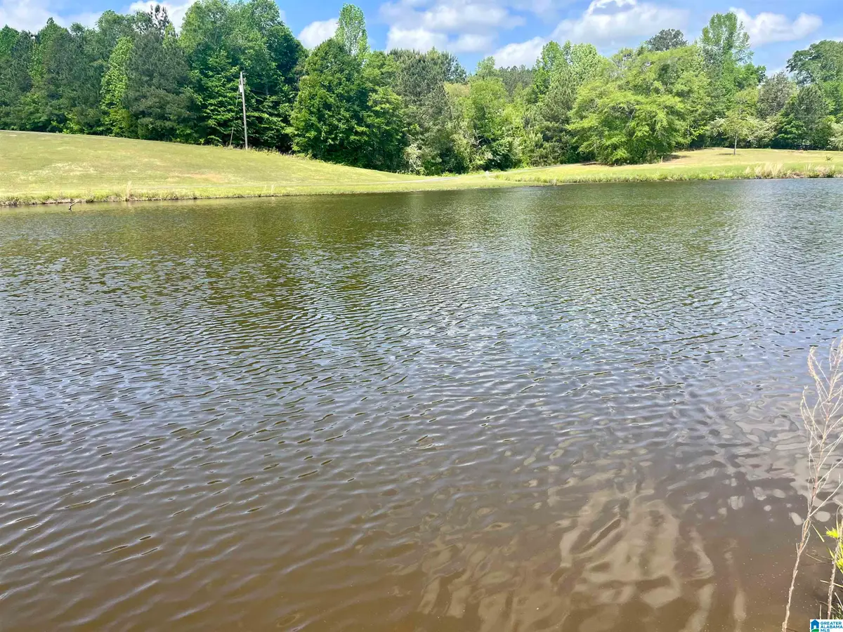 Lot 6 MARY DRIVE, Roanoke, AL 36274 - #1