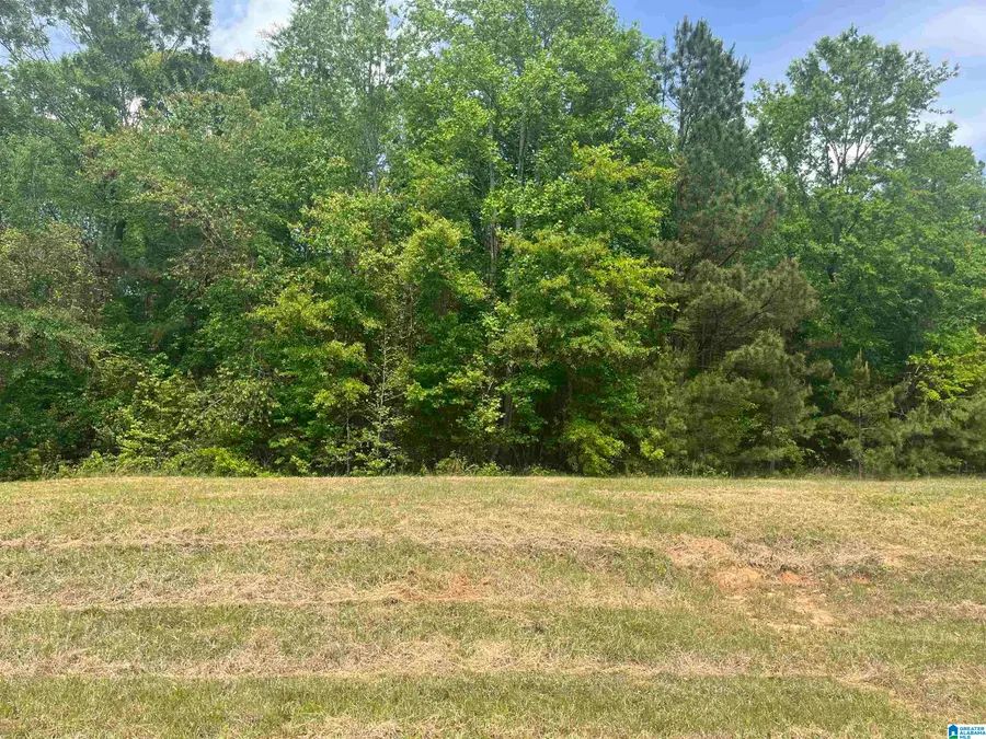 Lot 6 MARY DRIVE, Roanoke, AL 36274 - #2