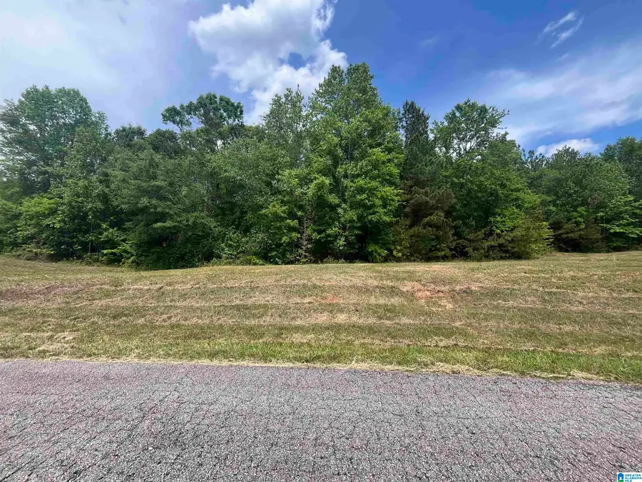 Lot 6 MARY DRIVE, Roanoke, AL 36274 - #3