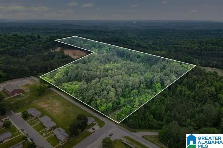 1900 KENTUCKY STREET, Leeds, AL 35094 - #1